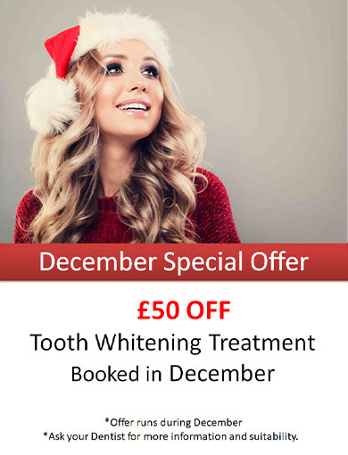 Christmas Offer
